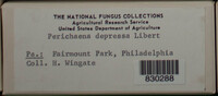 Image Associated With the Occurence